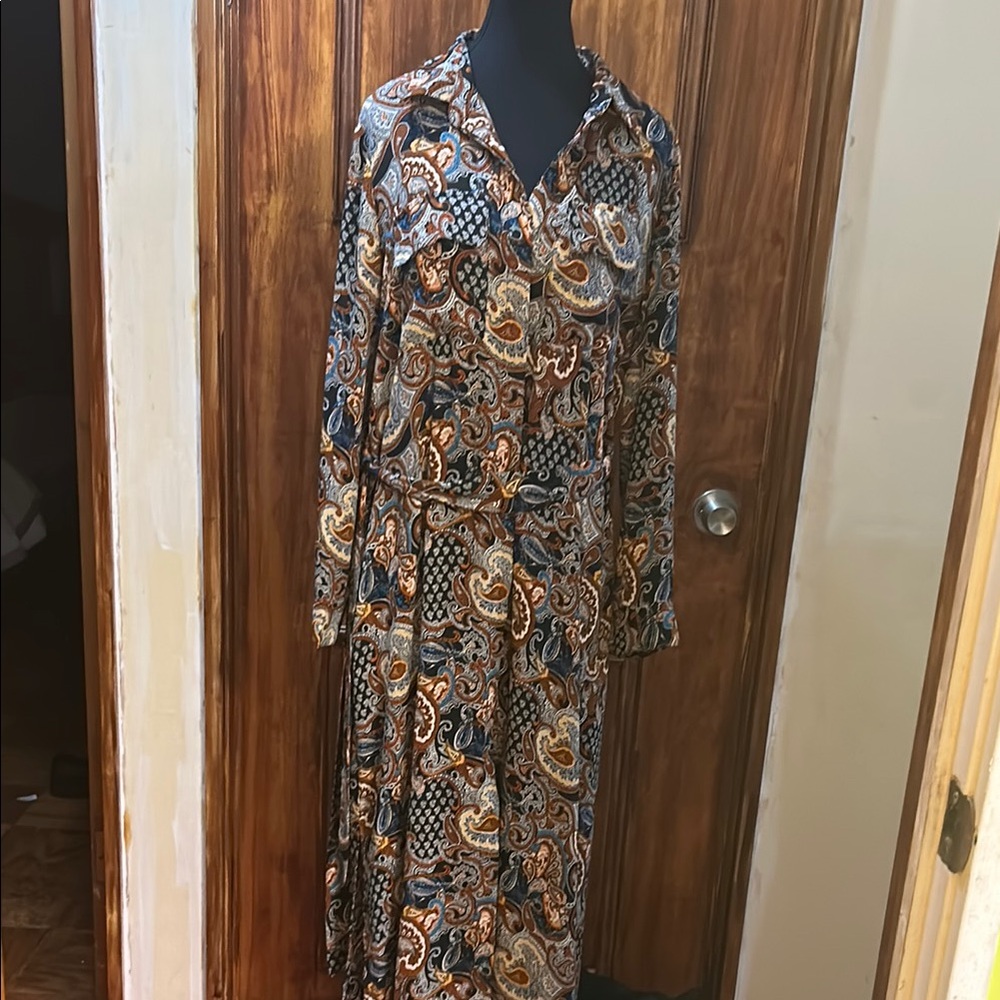 Brown and Blue Buttoned Shirt Dress